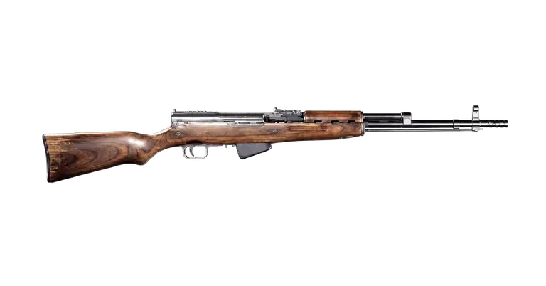 SKS — in-game vendor render